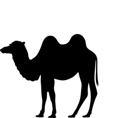 Plain black camel icon vector illustration
