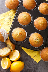 Freshly baked muffins with poppy seeds and lemon close-up in a baking dish on the table. Vertical top view from above