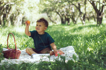Happy little boy is sitting on green grass with red apple