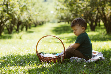 A cute boy sits on the grass near the apple tree, next to it is a basket .