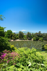弘前公園　岩木山