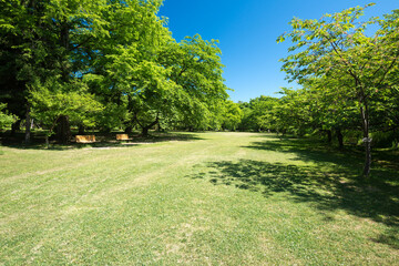 弘前城址　弘前公園