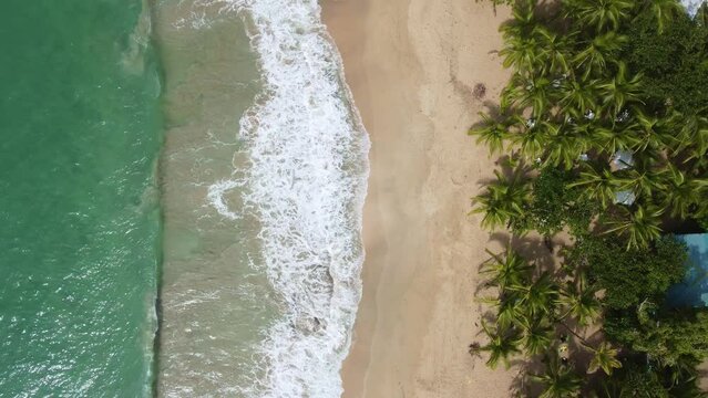 Puerto Viejo, Costa Rica: Aerial top down drone footage of the stunning beach near Puerto Viejo town along the Caribbean coast in Costa Rica in Central America.
