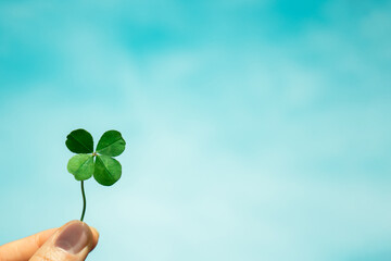 Four-Leaf Clover with blue sky background. Symbol of good luck.	