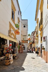 A narrow street between the old houses of Gallipoli, an old village in the province of Lecce in...