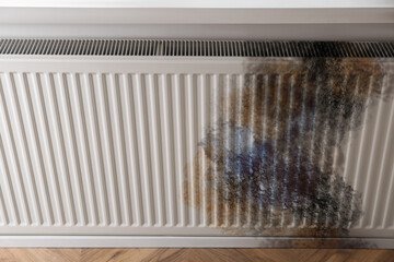 Modern panel radiator affected by rust indoors