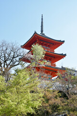 春の清水寺　三重塔　京都市東山区