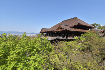 春の清水寺　本堂　京都市東山区