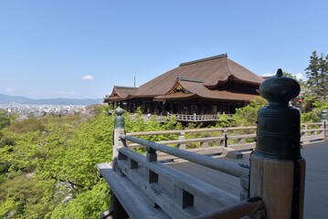 春の清水寺　奥の院から本堂を望む　京都市東山区