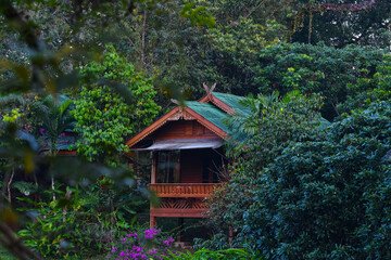 japanese garden in the garden