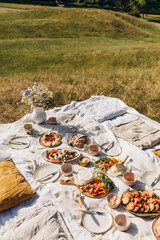 picnic in nature on top of the hill. a decorated picnic area on the grass with butt pads and gourmet snacks. picnic table setting on the grass
