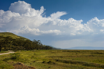 Landscape of savannah with clouds in National Park of Africa