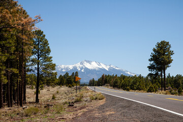 A long road off into the distance towards the horizon in the USA
