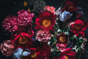 floristic composition on the black