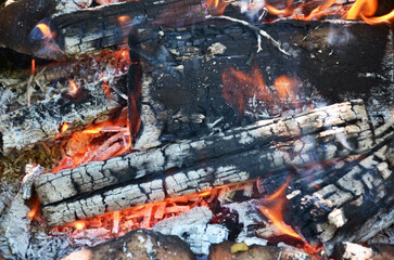 Burning firewood close up. Firewood burning on the grill. bonfire close up