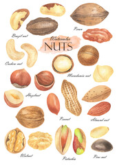 Set of nuts