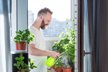 Man growing city balcony garden - 512017445