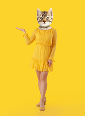 Funny kitten with human body showing something on yellow background