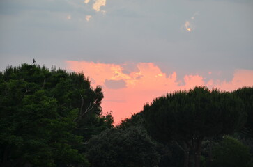 Photos taken on a stroll through the beautiful Aqueducts Park in Rome, with the majestic ruins of ancient Roman aqueducts and trees