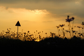 Evening sunset seen from the field.