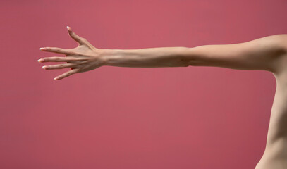 Young woman's stretched arm and palm. Isolated on pink background