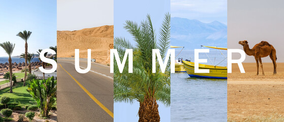 Summer collage with beautiful picturesque landscapes