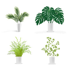 set of plants in vase