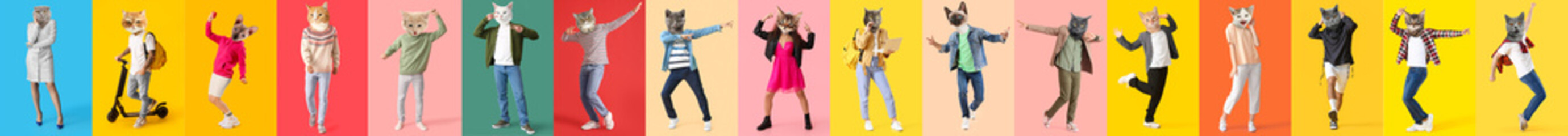 Many cats with human bodies on colorful background