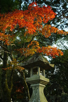 Stone lantern of Nangu Inari Jinja shrine against the background of autumn leaves