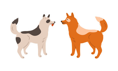 Two dogs standing in front of each other vector illustration