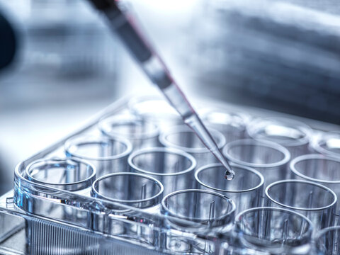 Pipette filling microplate tubules with liquid solution in laboratory