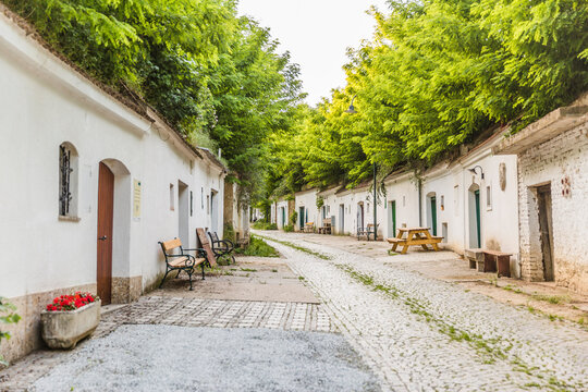 Austria, Lower Austria, Poysdorf, Wine cellars along historic Kellergasse Radyweg lane