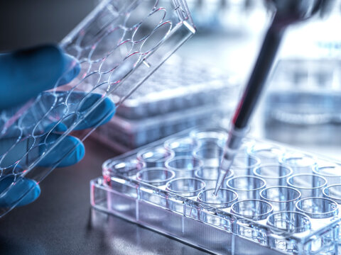 Scientist filling tubules with solution for experiment in laboratory