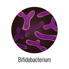 Bifidobacterium Bacteria Round Composition