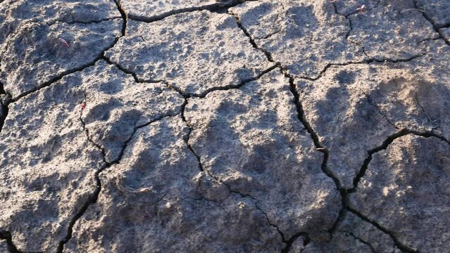 Heat cracked earth. Drought and global warming, the threat of a food crisis and famine