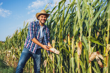 Happy farmer is examining his growing corn field.