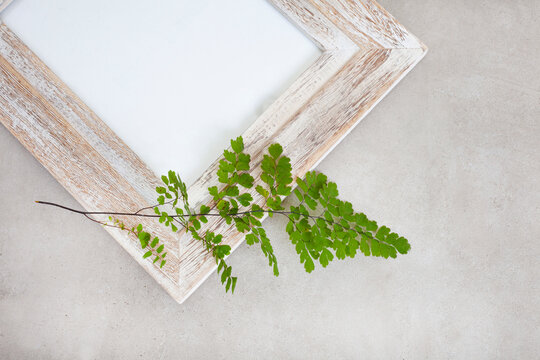 mottled grey surface with distressed wooden frame and fern leaf with copy space