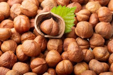 Forest nuts hazelnuts background. Top view.