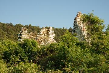 Fototapeta premium Ruin of an old stone house, in the Cesane mountains in Italy, Marche, close to Pesaro and Urbino. Various plants like broom and other herbs groe around