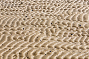 Fototapeta na wymiar Sand texture on the beach close to the Adriatic sea in Italy 