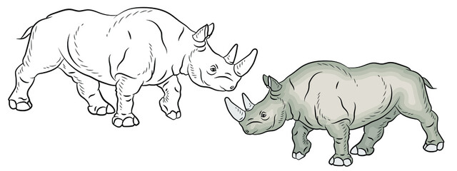 In the animal world. Coloring for children, a large and terrible rhino. Vector image.
 Color and black white pattern, background, design.