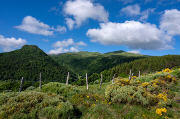 Paysage de printemps en Auvergne dans les Monts Dore et le massif du Sancy en France autour du col...
