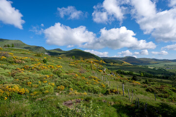 Fototapeta na wymiar Paysage de printemps en Auvergne dans les Monts Dore et le massif du Sancy en France autour du col de La Croix Saint Robert