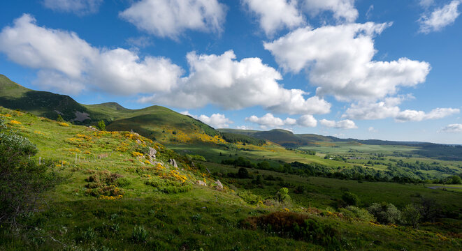 Paysage de printemps en Auvergne dans les Monts Dore et le massif du Sancy en France autour du col de La Croix Saint Robert