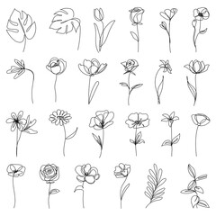 Collection of hand drawn floral elements