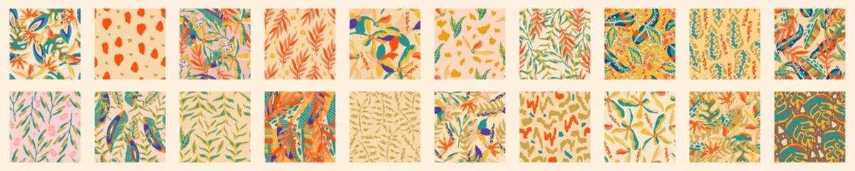 Abstract aesthetic background set boho jungle with tropical leaves. Boho jungle in modern style. Ethnic leaf floral background art. Contemporary hand drawn flat design. Abstract tropical art.