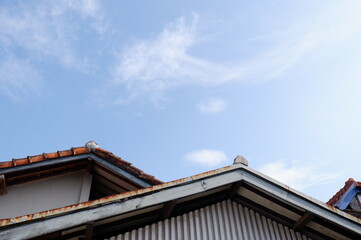 roof and sky