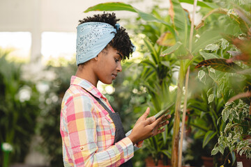 Gardener wearing bandana using tablet PC working with plants at nursery