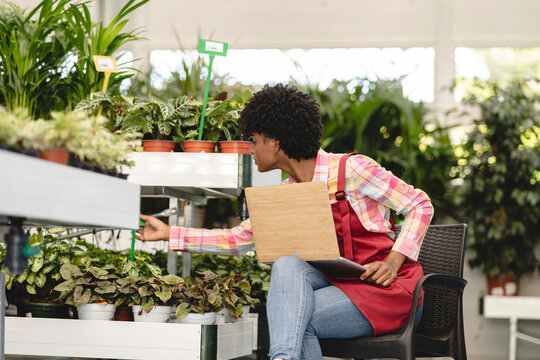 Gardener examining plants sitting with laptop on chair in nursery
