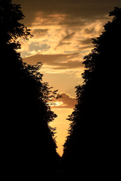 Silhouettes Of Trees Standing Against Moody Sky At Dusk